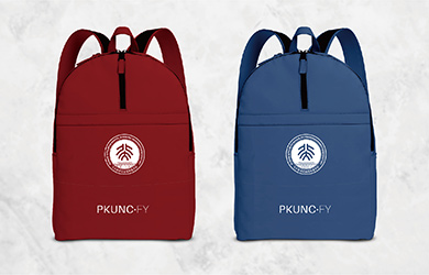 北大新世纪阜阳附属学校VI设计