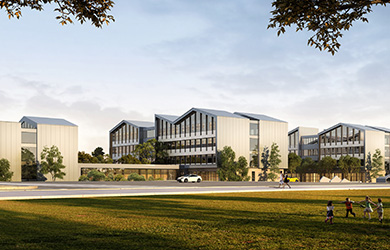 山东泰安绿森林未来学校